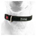 Collier réfléchissant pour chien FREEDOG