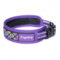 Collier réfléchissant BORÉAL violet pour chien FREEDOG