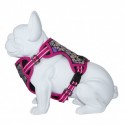HARNAIS REFLECHISSANT pour chien BORÉAL couleur rose FREEDOG-DOGFRENCHTOUCH