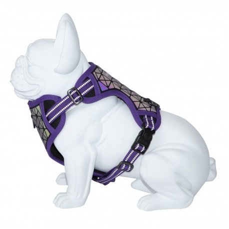 Harnais réfléchissant BORÉAL violet pour chien FREEDOG