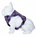 HARNAIS REFLECHISSANT pour chien BORÉAL couleur violet FREEDOG-DOGFRENCHTOUCH