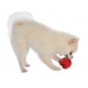 Balle flexible Wave Rouge pour chien BOBBY