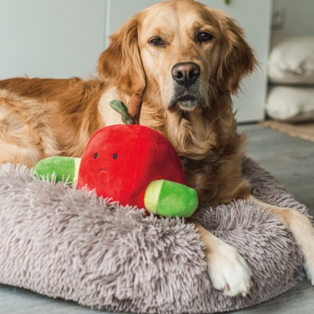 Peluche de fouille pomme et asticot pour chien BEEZTEES