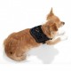 Harnais réglable noir pour chien TEENY WEENY KARLIE