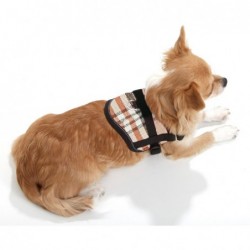 HARNAIS pour chien réglable couleur beige anglais TEENY WEENY KARLIE-DOGFRENCHTOUCH