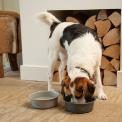 GAMELLE pour chien acier inoxydable FERIBO DESIGNED BY LOTTE