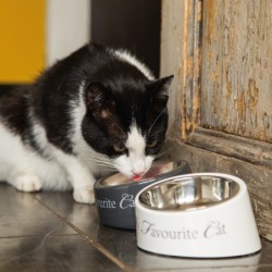 Gamelle pour chat MY FAVOURITE CAT blanc DESIGNED BY LOTTE