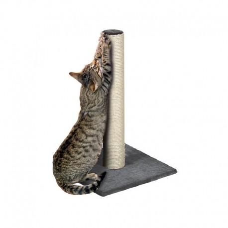 Griffoir poteau 60 cm pour chat KARLIE