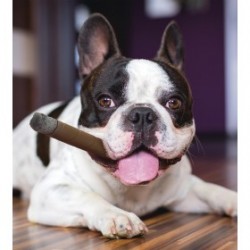 JOUET pour chien CIGARE en latex KARLIE-DOGFRENCHTOUCH