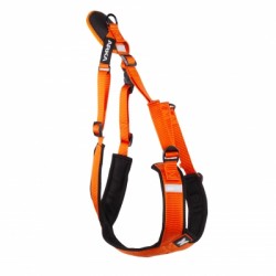 HARNAIS pour chien CANICROSS BASIC couleur orange MARTIN SELLIER-DOGFRENCHTOUCH
