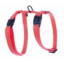 HARNAIS pour chat réglable nylon FLASH orange ARKA HAOK-DOGFRENCHTOUCH