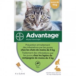 Pipettes antiparasitaires - chat de moins de 4 kg -Advantage