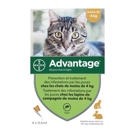 Pipettes antiparasitaires - chat de moins de 4 kg ADVANTAGE