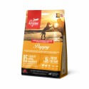 CROQUETTES pour chiots PUPPY ORIJEN