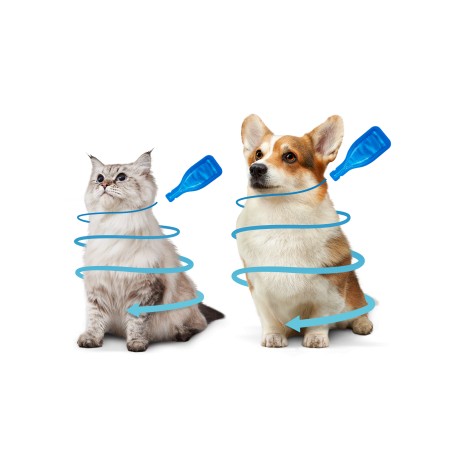 3 pipettes antiparasitaires pour chaton Beaphar