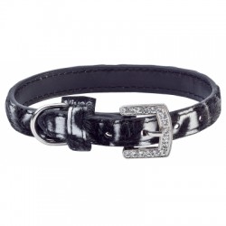 Collier pour chien Kananga Vivog