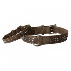 Collier pour chien Galon noir VIVOG