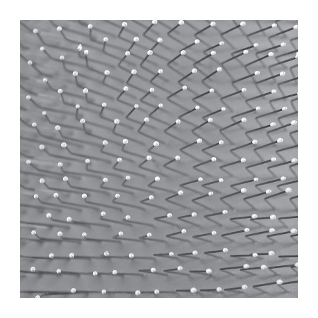 CARDE BROSSAGE DOUX pour petits et moyens chiens VIVOG-DOGFRENCHTOUCH