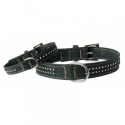 Collier pour chien Jean vert marin VIVOG