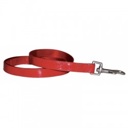 Laisse pour chien Rock'n Roll rouge verni VIVOG