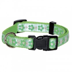 Collier pour chien Meadow vert nylon réglable VIVOG