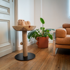 ARBRE A CHAT pour chat Corbeille ETOILE 50CM - Sensation Vietnam MARTIN SELLIER - DOGFRENCHTOUCH