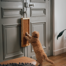 Griffoir Coffret Up and Down Carton - Sensation Vietnam MARTIN SELLIER