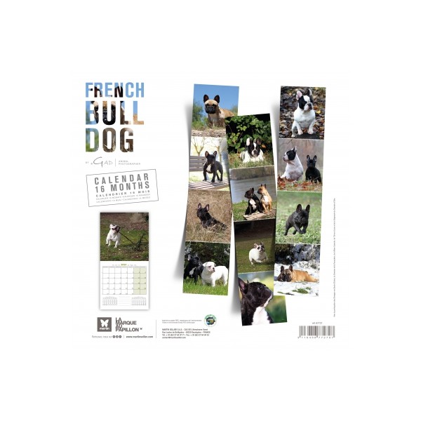 Calendrier chien 2023-2024 Bouledogue français MARTIN SELLIER