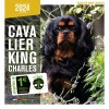 Calendrier chien 2023-2024 Cavalier King Charles MARTIN SELLIER