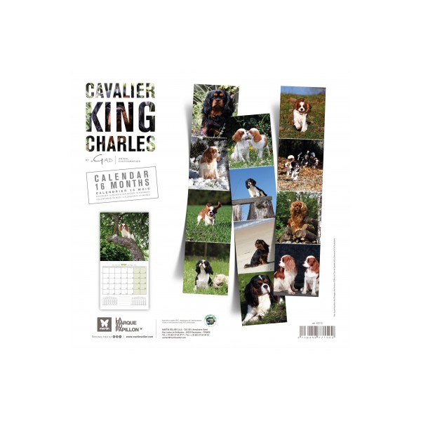 Calendrier chien 2023-2024 Cavalier King Charles MARTIN SELLIER