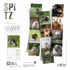 Calendrier chien 2023-2024 Spitz MARTIN SELLIER