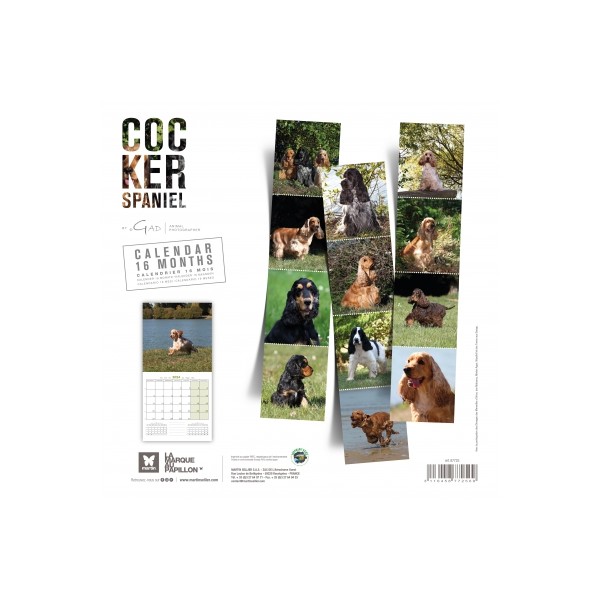 Calendrier chien 2023-2024 Cocker Spaniel MARTIN SELLIER