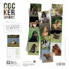 Calendrier chien 2023-2024 Cocker Spaniel MARTIN SELLIER