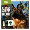Calendrier chien 2023-2024 Berger allemand MARTIN SELLIER