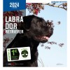 Calendrier chien 2023-2024 Labrador MARTIN SELLIER