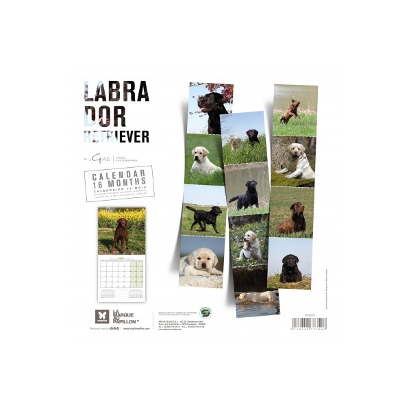 Calendrier chien 2023-2024 Labrador MARTIN SELLIER