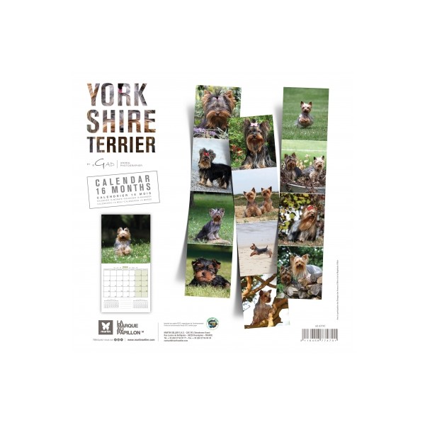 Calendrier chien 2023-2024 Yorkshire MARTIN SELLIER