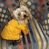 Imperméable pour chien Saint-Malo DOGFRENCHTOUCH