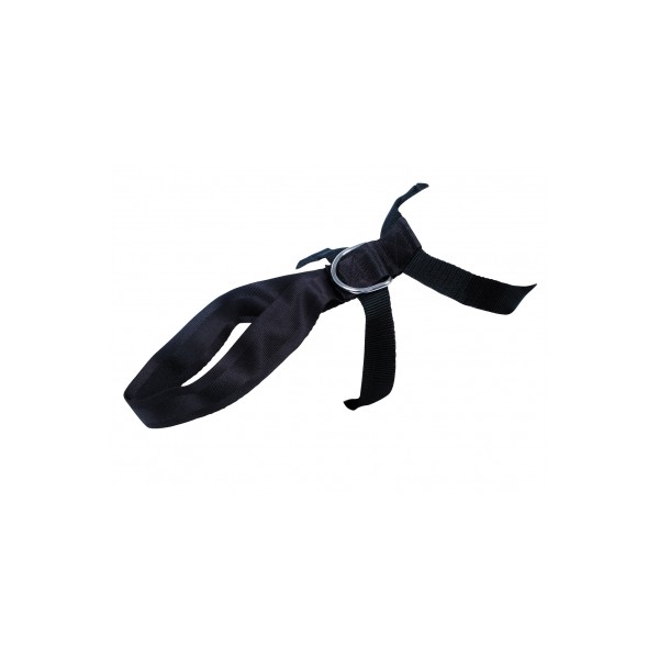 HARNAIS DE SECURITE VOITURE pour chien MARTIN SELLIER-DOGFRENCHTOUCH