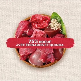 FRIANDISES pour chien SUPERFOOD SNACKS au boeuf NATURE'S VARIETY-DOGFRENCHTOUCH