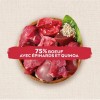 Friandises pour chien SUPERFOOD SNACKS au boeuf avec épinards et quinoa NATURE'S VARIETY