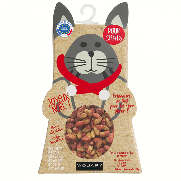 Boite de Noël pour chat avec friandises WOUAPY