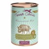 LOT DE 6 Patée pour chien GRAIN FREE au SANGLIER TERRA CANIS