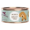 LOT DE 18 Patée pour Chien MINI GRAIN FREE au LAPIN 100g TERRA CANIS