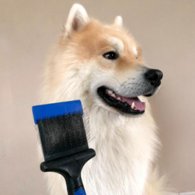 CARDE DOUBLE pour chien et chat FLEXIBLE TECHNIC HERY