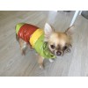 DOUDOUNE Aspin pour chien DOGFRENCHTOUCH