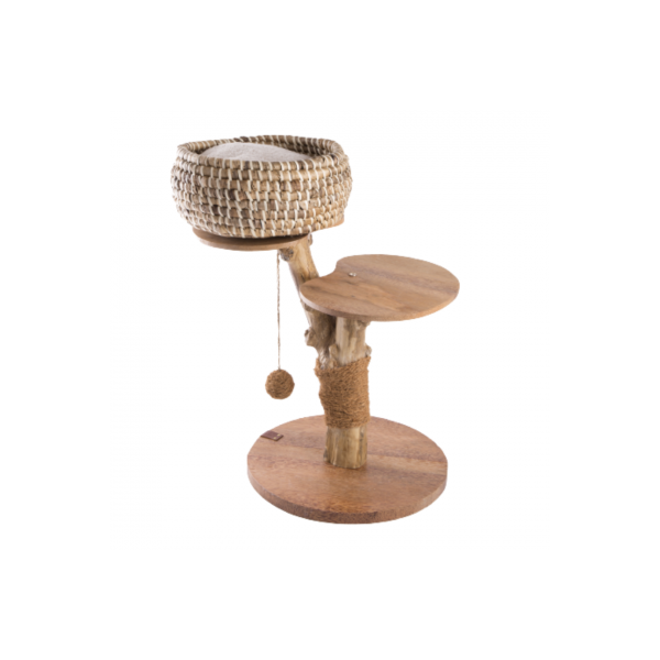 ARBRE A CHAT pour chat CAFEIER MARTIN SELLIER