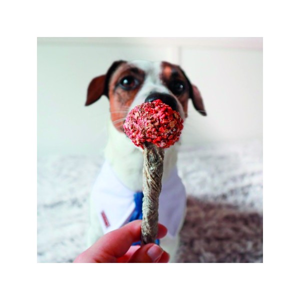 FRIANDISE SUCETTE pour chien CABILLAUD/DINDE COOKA'S COOKIES-DOGFRENCHTOUCH