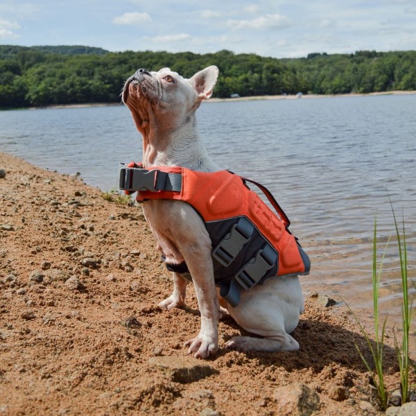 Gilet de sauvetage pour chien orange MARTIN SELLIER