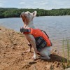 Gilet de sauvetage Arka Haok pour chien